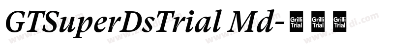 GTSuperDsTrial Md字体转换